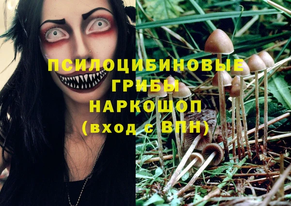 герыч Аркадак