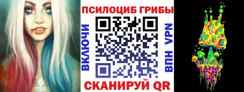 кракен   Бежецк  Псилоцибиновые грибы Magic Shrooms 